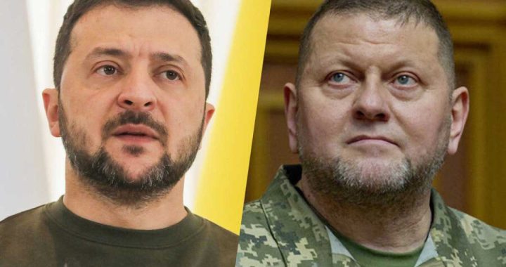 Zalujnı Zelenskini günahlandırdı