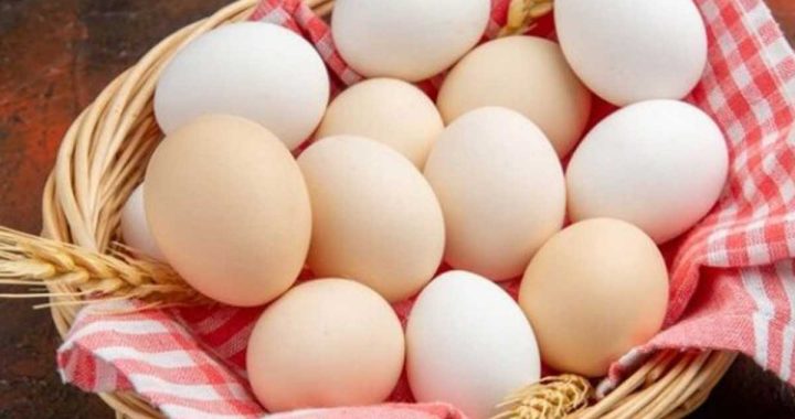 Azərbaycanda ilk dəfə damazlıq yumurta istehsalına görə subsidiya veriləcək