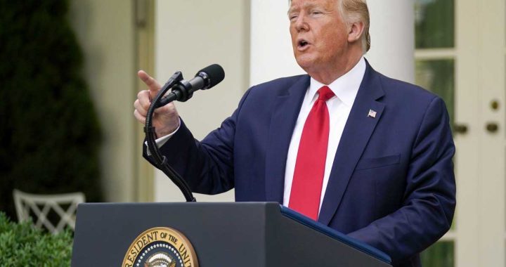 ABŞ olmadan NATO “kağız pələng”dir! – Tramp