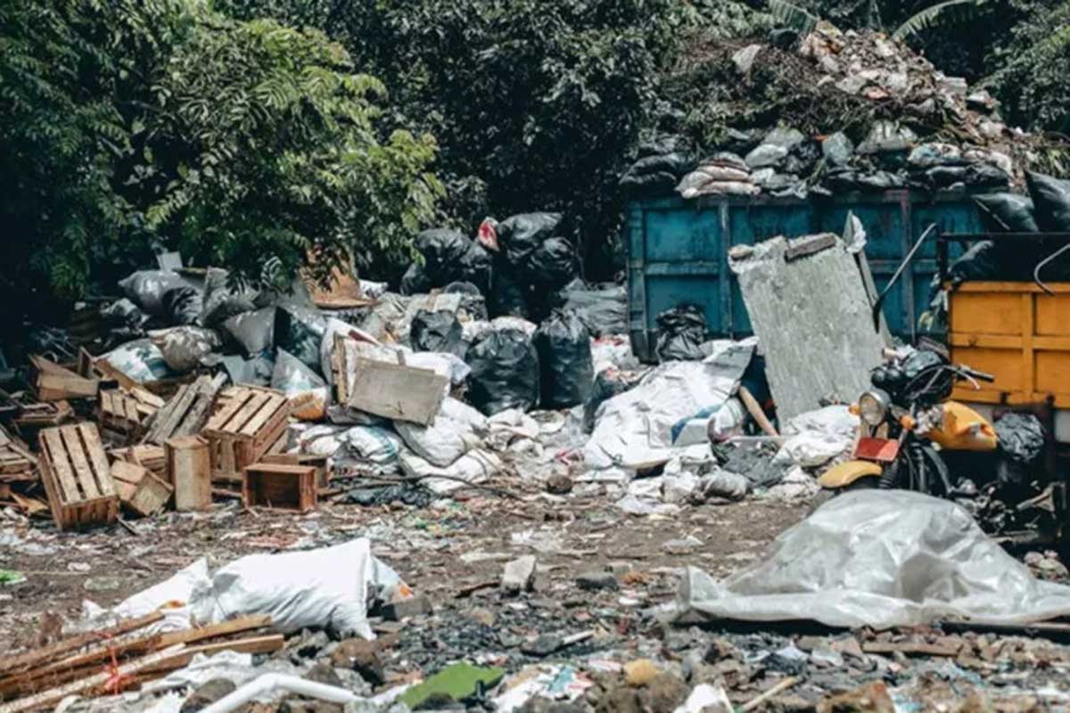 Gəncədə zibillikdən körpə dölü tapıldı – YENİLƏNİB