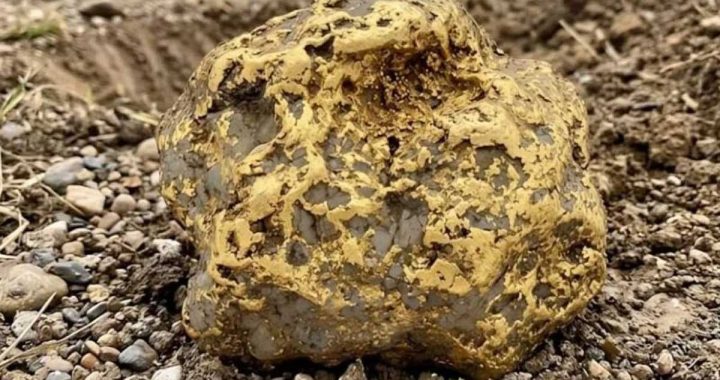 9 kiloqramlıq qızıl külçə tapdı – 750 min dollara satıldı